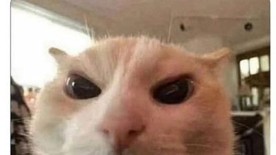 Senhor dos aneis os aneis do poder 1 MAYK