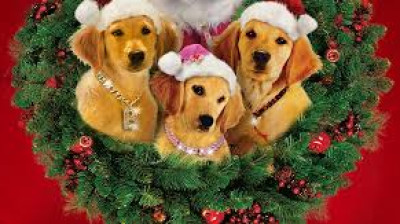 Les Copains fêtent Noël (2009)