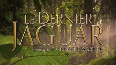 Le Dernier Jaguar 2024 VF