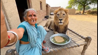 Dadi Bhais ko Chara khilati hui ??