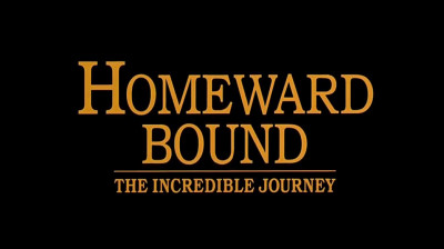 L'incroyable voyage_1993