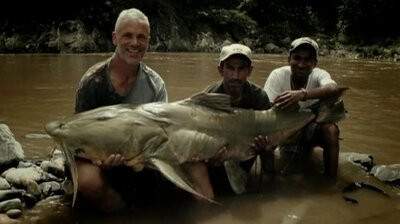 Monstros do Rio T1:E4 - Bagre Assassino