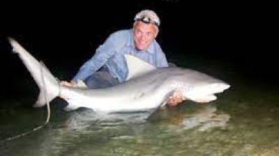 Monstros do Rio T1:E7 - Tubarão de Água Doce