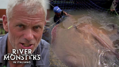 Monstros do Rio T2:E1 - Arraia Gigante