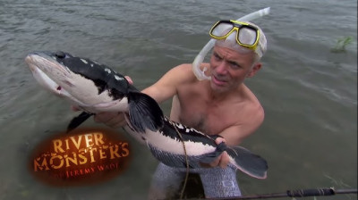 Monstros do Rio T2:E2 - Cabeça de Cobra Gigante