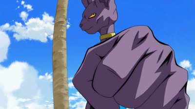 Dragon Ball Super 015 [PT-PT]