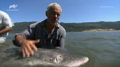 Monstros do Rio T2:E3 - Terror no Alasca