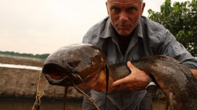 Monstros do Rio T2:E5 - Bagre do Congo