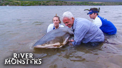 Monstros do Rio T2:E7 - Tubarão Cabeça-Chata