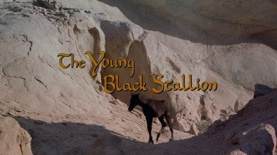 La légende de l' étalon noir_2003