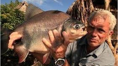 Monstros do Rio T3:E2 - O Mutilador